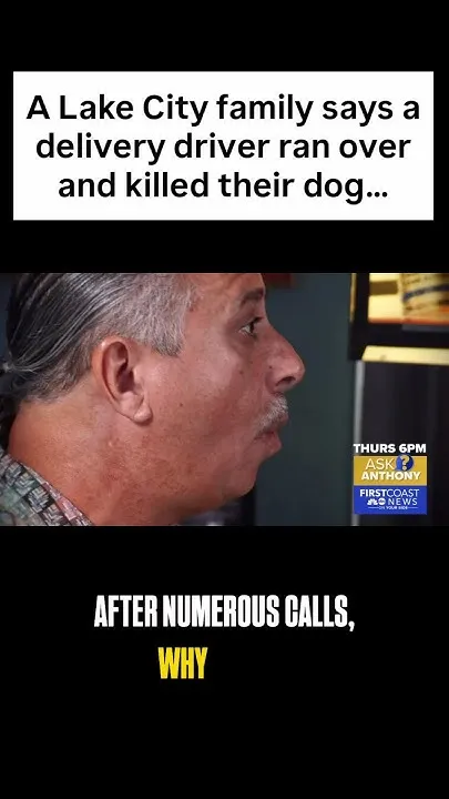 Ask Anthony: Dog killed by delivery driver (Video)
