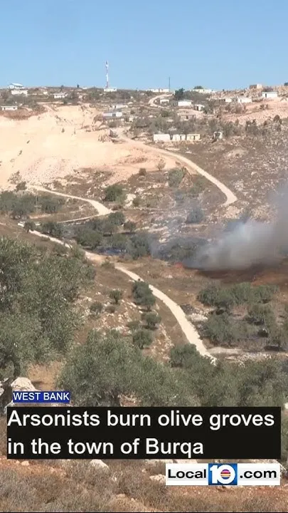 Arsonist burn olive groves in West Bank, witnesses say (Video)