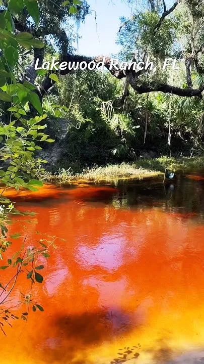 Lakewood Ranch, Florida  (Video)
