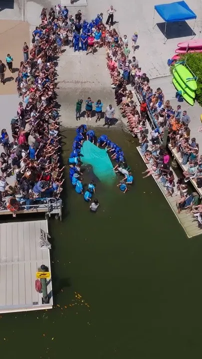 Watch the release of Cascade the Manatee back into Tampa Bay! (Video)
