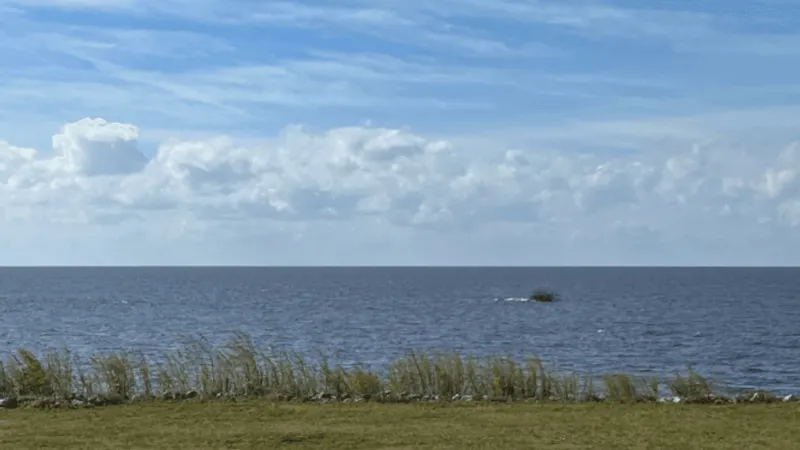 Martin County health officials warn of harmful algae near Lake Okeechobee