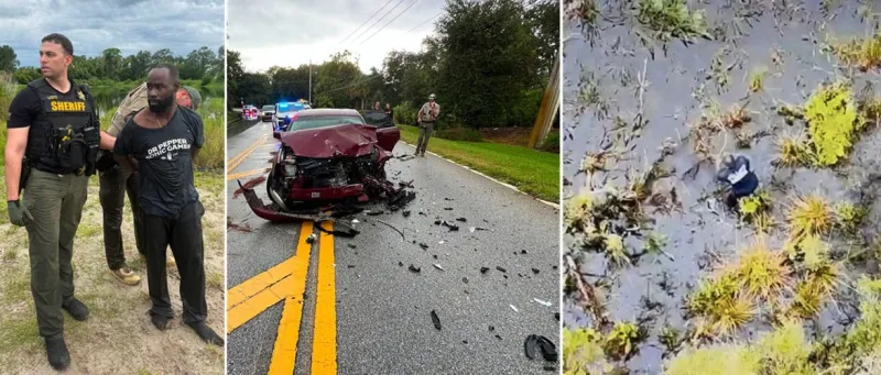 Hit-and-Run Suspect Captured after Swamp Manhunt in Florida