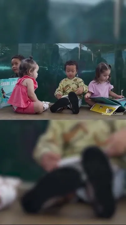 Otters at Mote Marine are stars in new Sarasota reading program (Video)