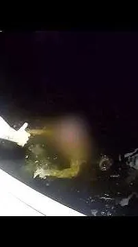 Bradenton police rescue man swimming in Manatee River (Video)