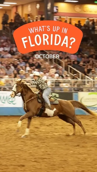 Ready for fall Florida fun?  Check out these October events! (Video)