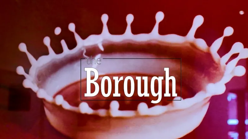 Florida Museum of Photographic Arts in The Borough (Video)