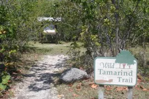 Tamarind Trail