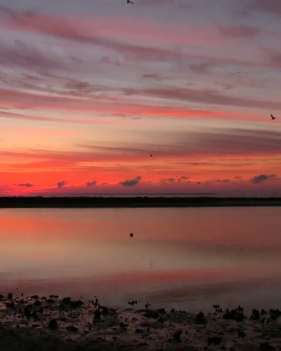 Rediscover Sunrises on Florida's Forgotten Coast (Video)
