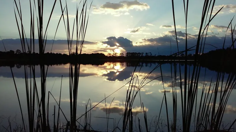 St. Lucie County Planning & Zoning Board Meeting, Sept. 24, 2026 (Video)