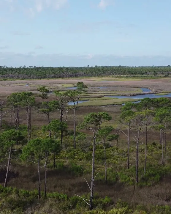 Rediscover Bald Point State Park (Video)