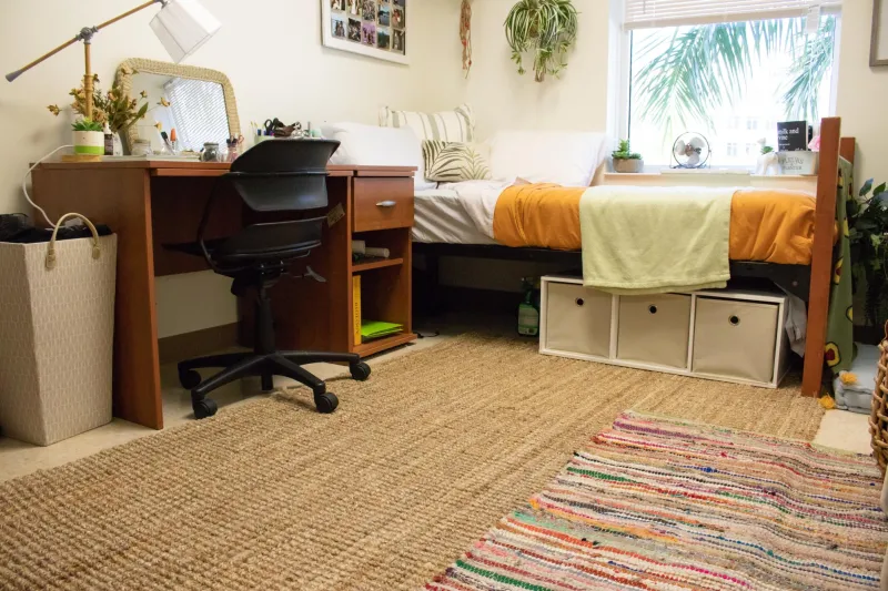 Top 5 Must-Haves for Dorm Life
