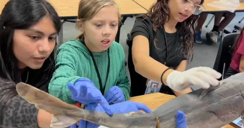 Central Elementary students get hands-on learning about environment through Guy Harvey Conservation School