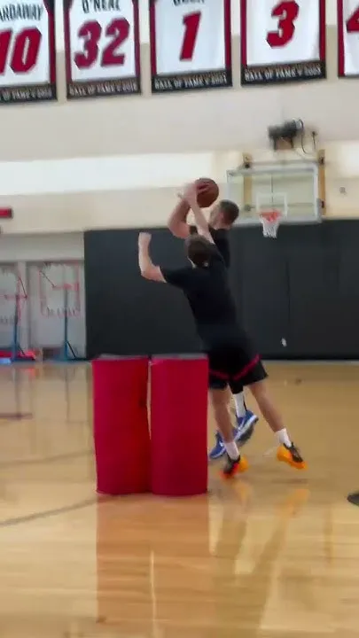 Welcome home, Niko! (Video)
