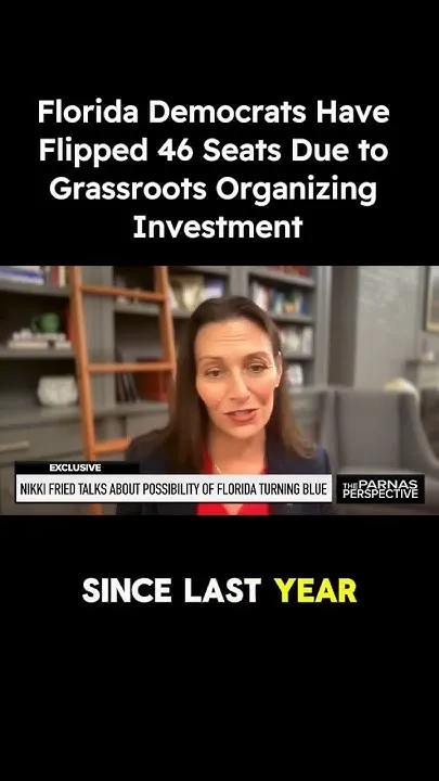 Florida Democrats Have Flipped 46 Seats Across Florida (Video)