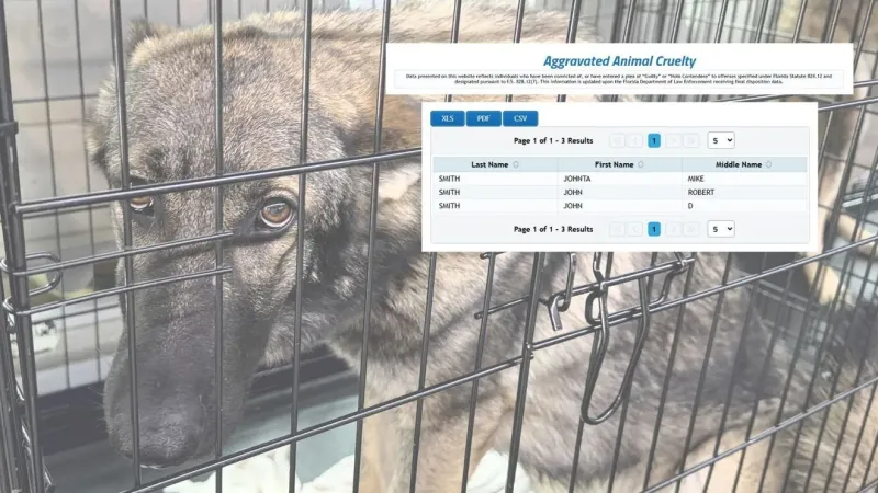 New Florida animal cruelty law takes effect Oct. 1. Here's what changes for the abuse data