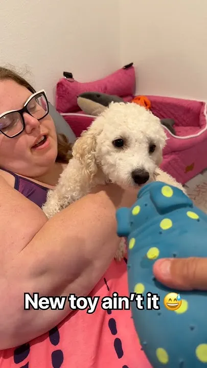 New Dog Toy Scares The Crap Out Of Our Dog  (Video)