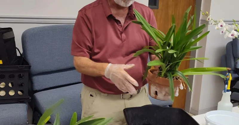 Englewood Area Orchid Society features expert planter at meeting