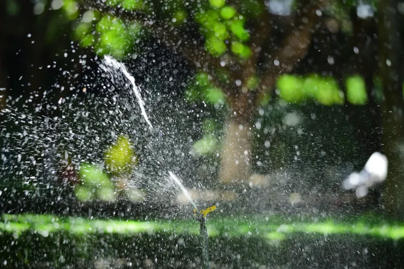 How to Keep Your Irrigation System Working in Florida's Tough Climate