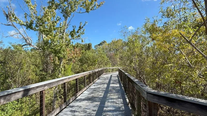 Sheriff's office warns of renewed inappropriate activity at DJ Wilcox Preserve