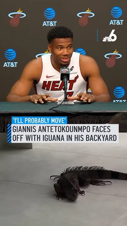 Giannis Antetokounmpo faces off with iguana in his backyard (Video)