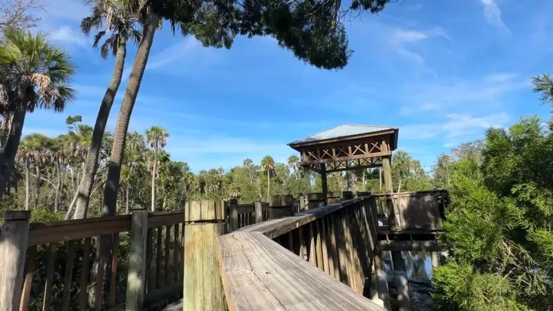 New Port Richey completes repairs to fishing pier at James E. Grey Preserve