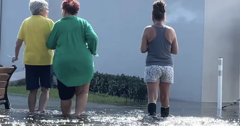 A royal mess: King tides are back-and more annoying than ever