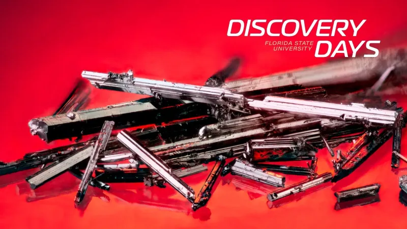 Discovery Days: 'Glittering Science' reveals the hidden beauty of FAMU-FSU College of Engineering crystal research