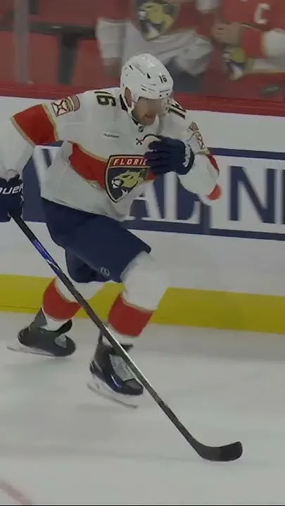 Barky back on the ice  (Video)