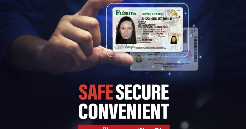 Here is what Florida's newly redesigned driver's license and identification cards will look like