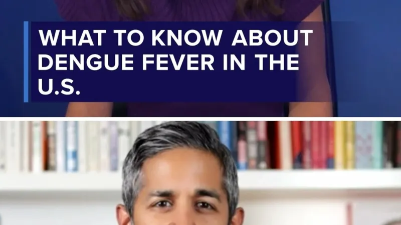 What to know about the dengue fever in the U.S.