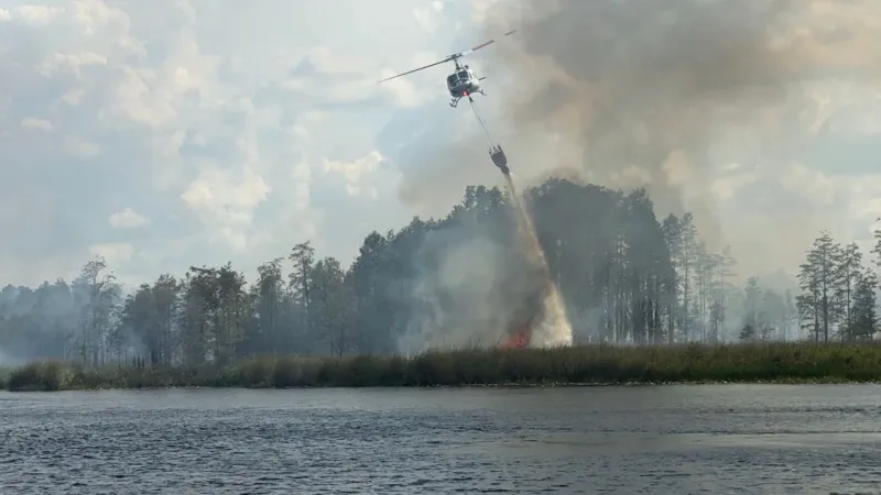Groveland-area horse owner monitors animals as marsh fire burns nearby