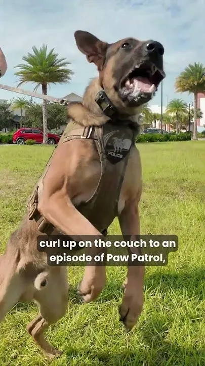 An Interview with TPD's Finest Officer (Video)