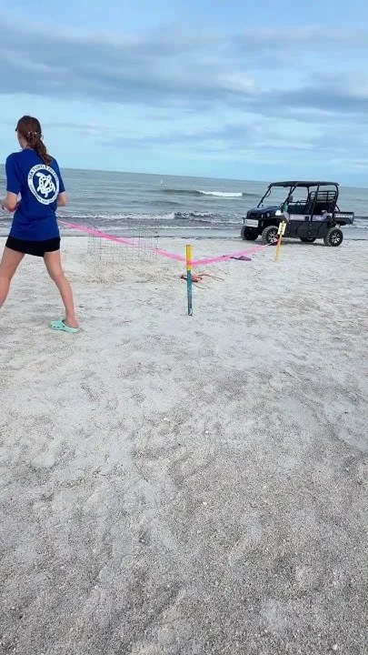 Spend a Morning with CMA Sea Turtle Patrol (Video)