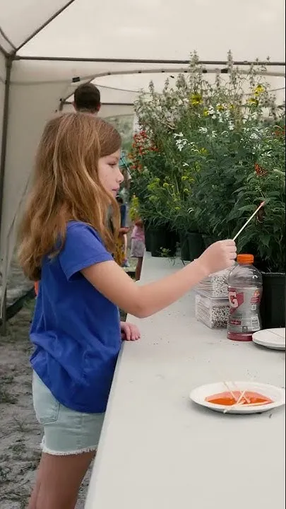You were meant to BEE at the Wildflower & Pollinator Festival! (Video)