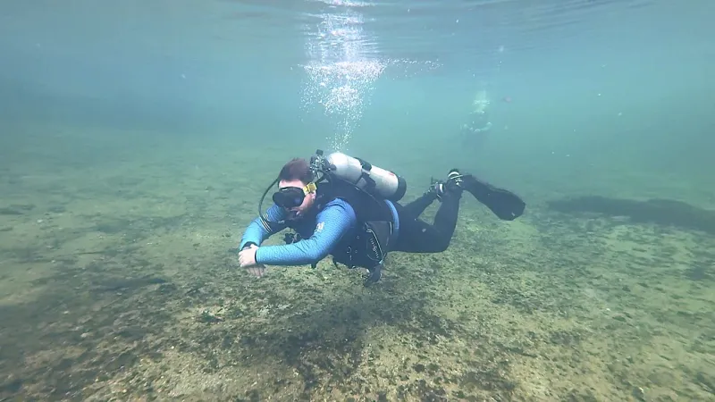 Dive into an underwater adventure at Blue Spring State Park