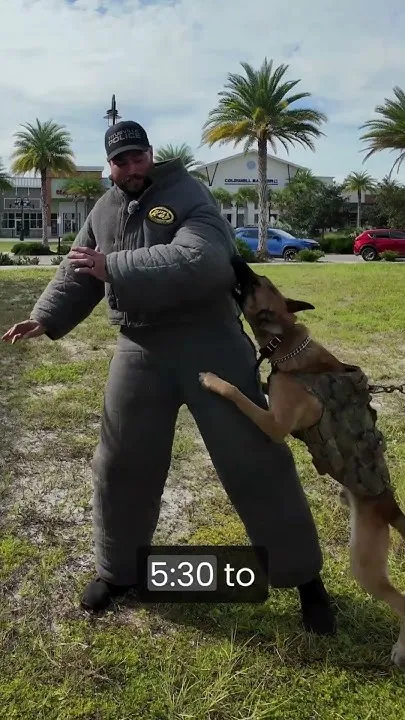 Join us at National Night Out for our live K-9 demo! (Video)