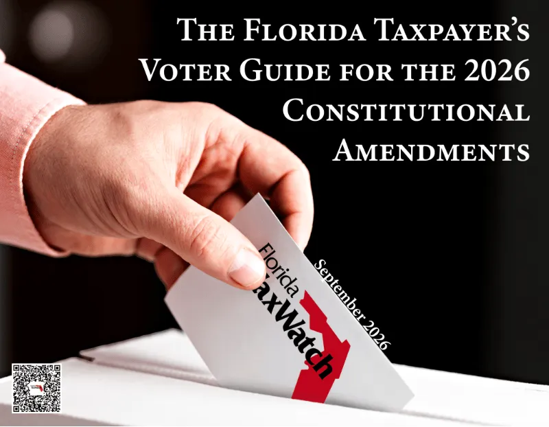 Voters' guide to three amendments on November's ballot