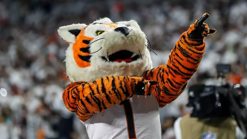 How to watch Jaguars vs. Bengals in Week 4 with or without cable (& more)