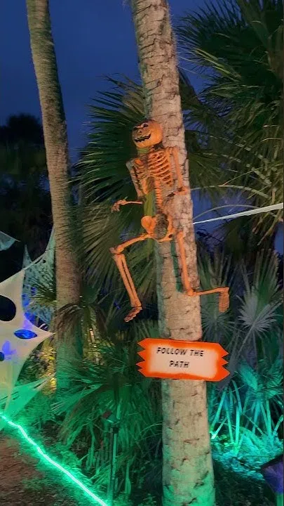 Lights at Spooky Point (Video)