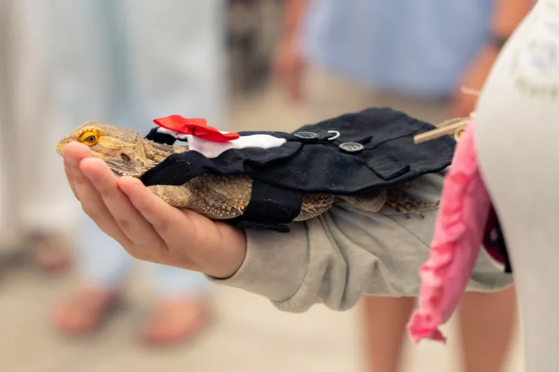 Students with furry, scaly and four-legged friends gather for annual Pet Blessing