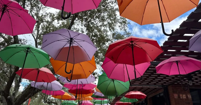 Business owners weigh downtown upgrades, changes in Gainesville