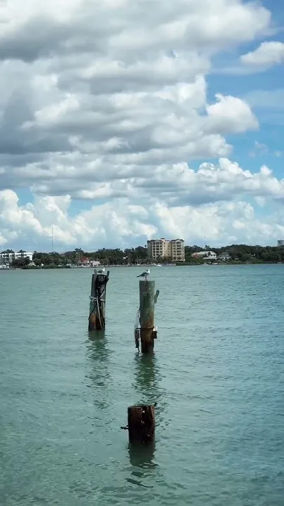 Clearwater Blue (Video)