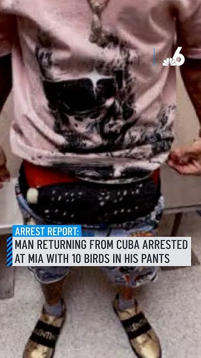 Man returning from Cuba arrested at MIA after smuggling 10 birds in his pants, report says (Video)
