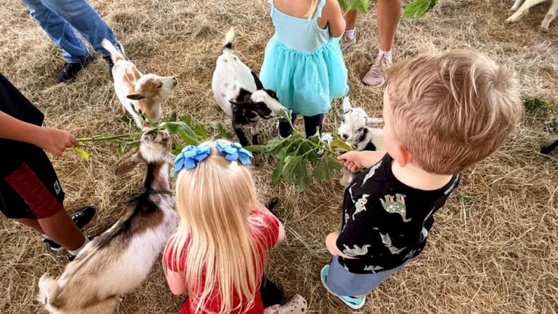 5 things to know about Fables on the Farm