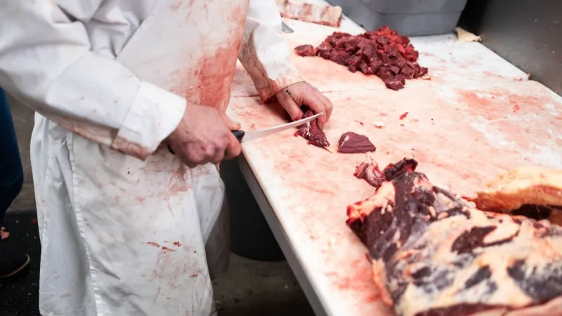 How buying meat in bulk can make it more affordable