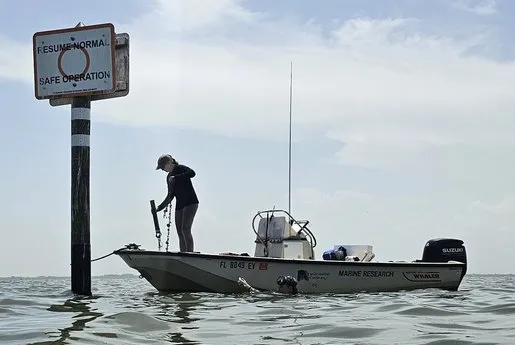 New Study Shows Effects of Hypoxia in Banana River
