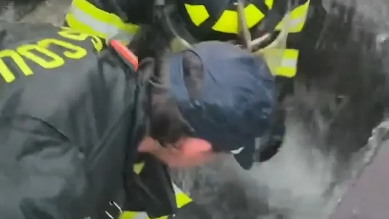 Florida firefighters rescue hawk stuck in storm drain