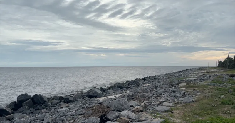 Isaias sparks state of emergency in 25 Florida counties as Big Bend coastal communities prepare