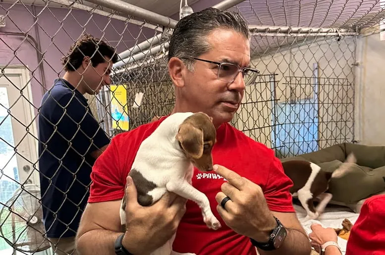 State Rep. 'On the Job' at PAWS4you Rescue