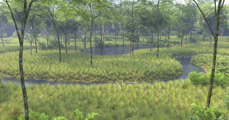 Alligator Creek restoration project is underway